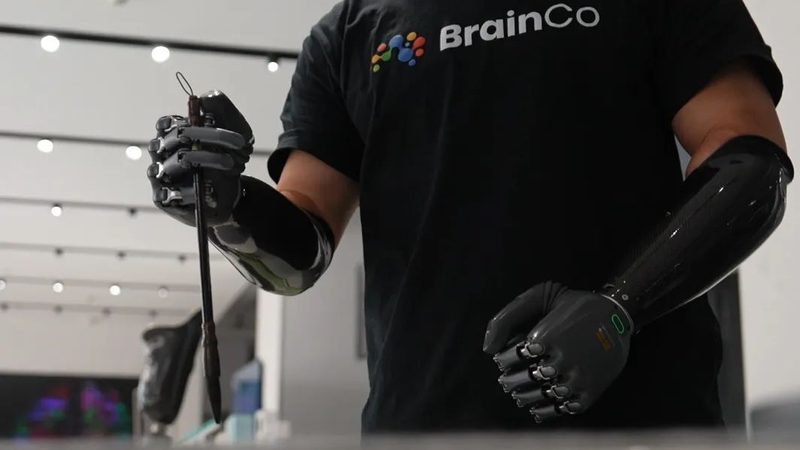 企业搜索与大数据搜索引擎：本质区别与选择要点